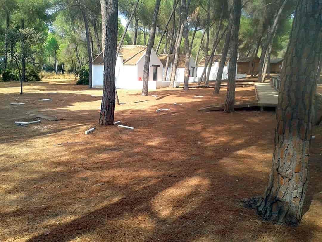 Find Cheap Tent Camping Sites In Seville Pitchup