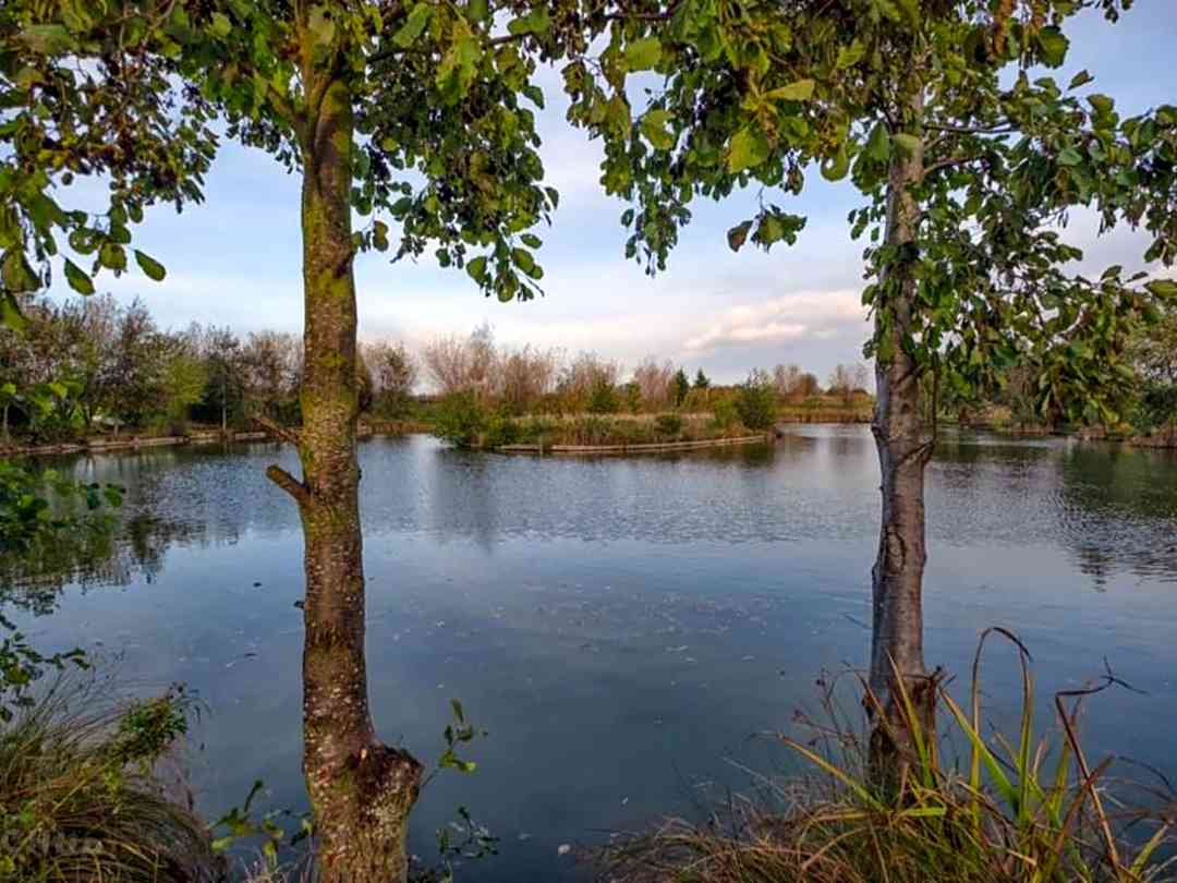 Oak Tree Holiday Park And Fishery Epworth Pitchup