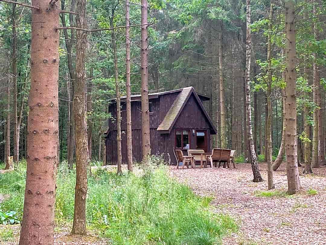 Nantclimbers Woodland Camping Huts: Badger hut