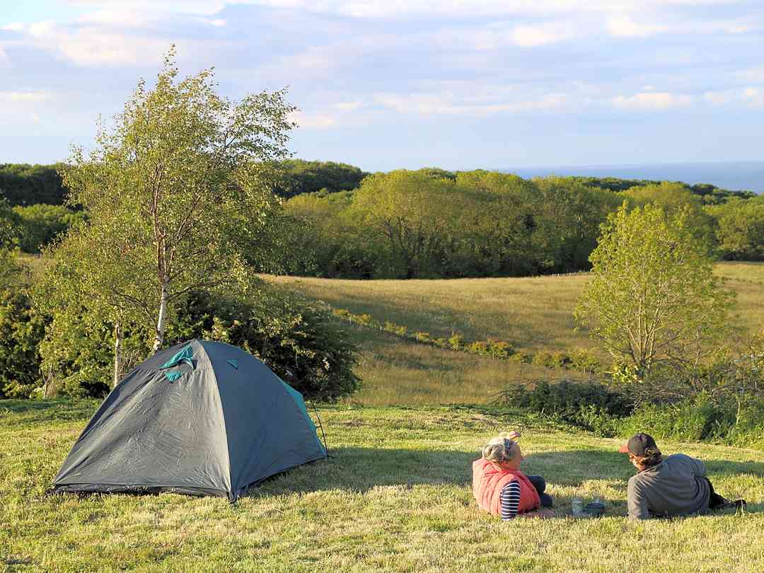 Find Cheap Tent Camping Sites In Co Durham Pitchup