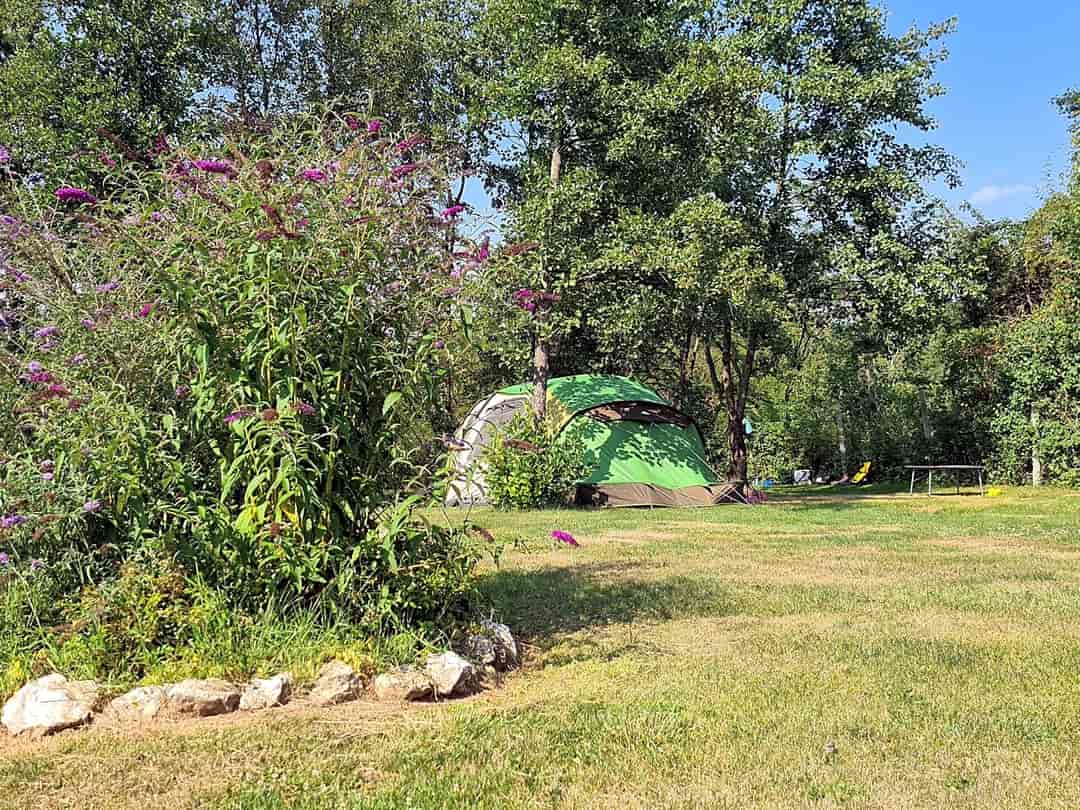 Nature Camping Máré-Vára: Shaded grass pitches
