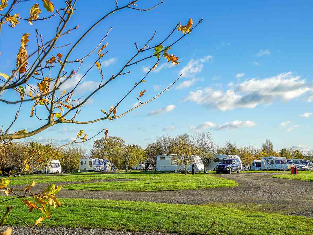 Lady Heyes Touring Caravan Park (фото добавлено менеджером 28.07.2022)