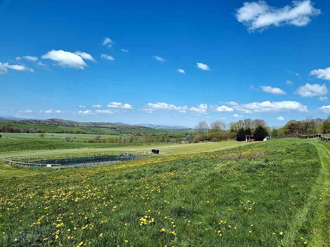 Holmescales Campsite