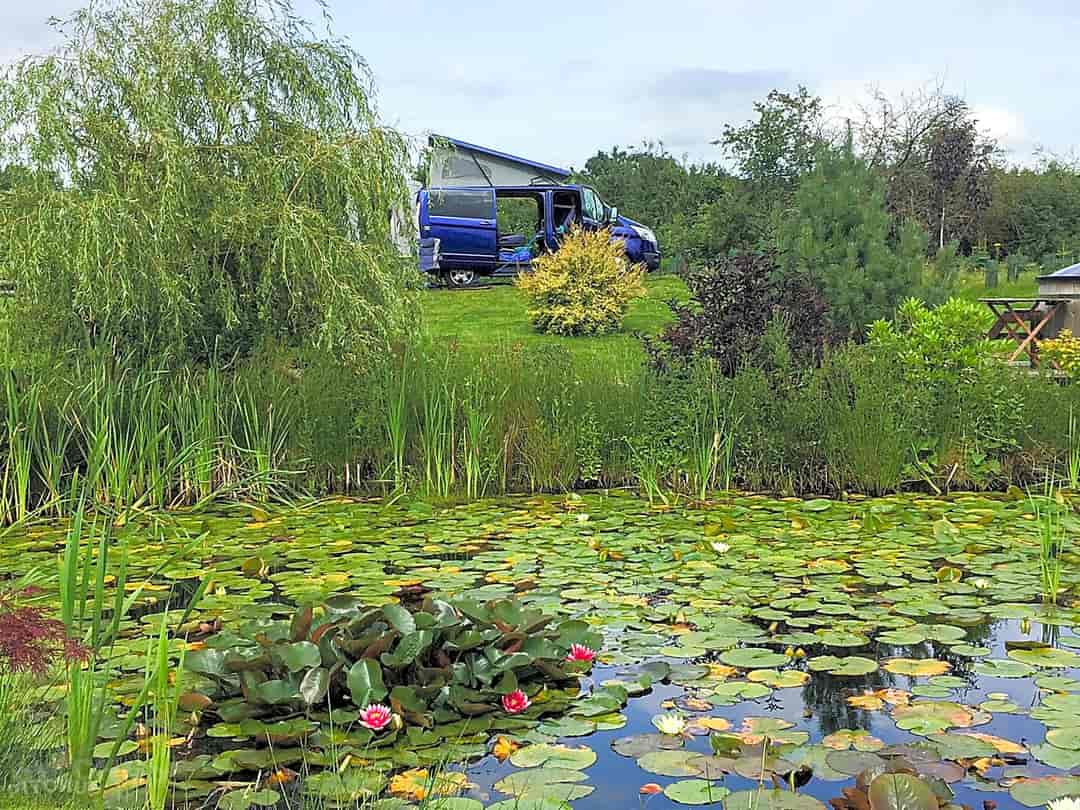Colemere Caravan Park: Campervan pitched up by the pond