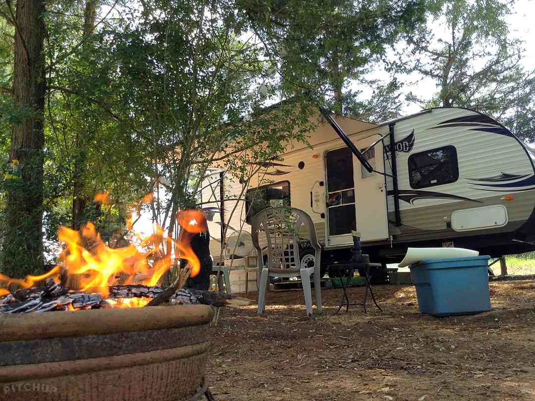 Shady Pines Rv Park And Campground Jacksonville Pitchup