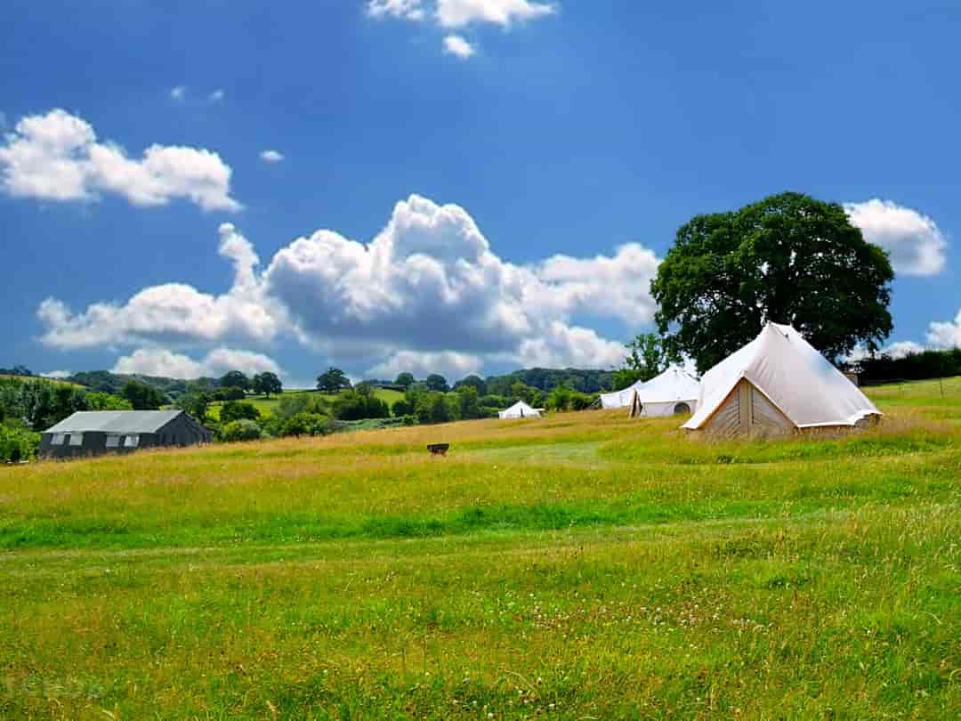 Hanley Mill Glamping: Overall Campsite - stunning location showing all 4 tents and the communal area