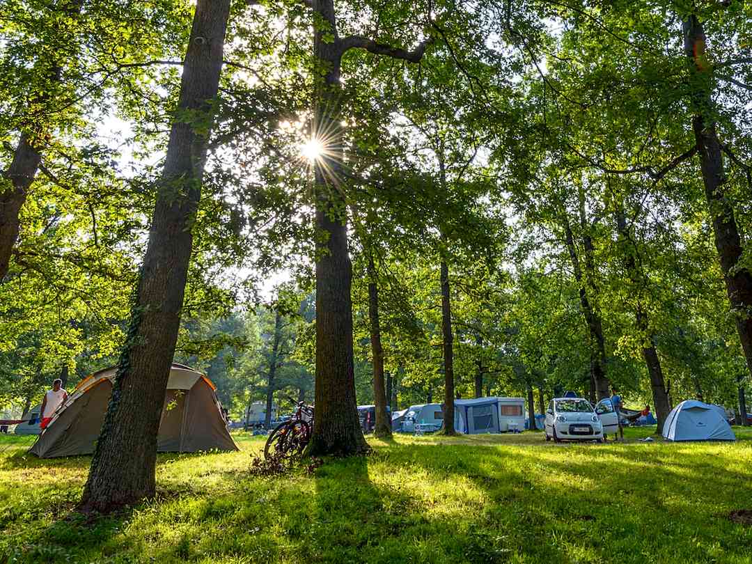 Camping des Gorges de l'Allier: Pitch among the trees