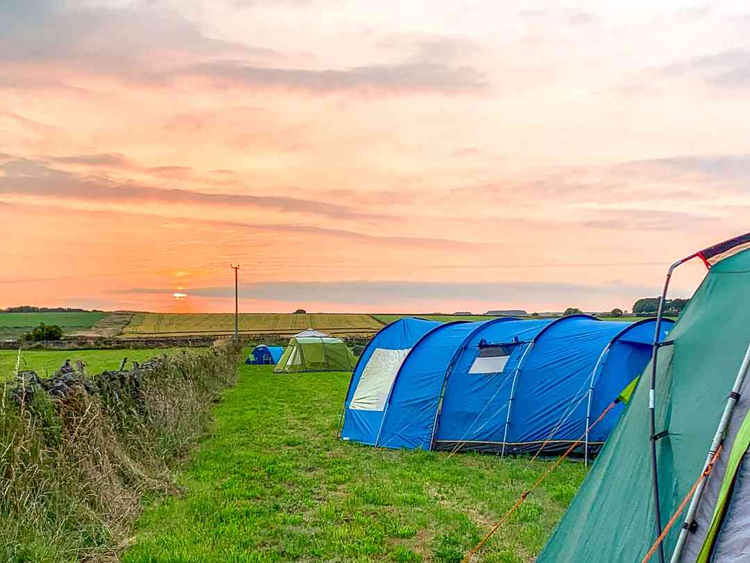 Wild Camping at Barkerfields Farm （经理于2023年6月13日添加的照片）