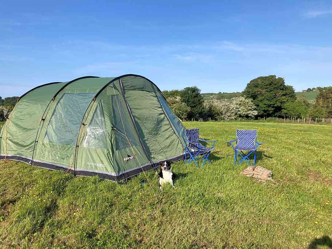 Dragonfly Camping (a kezelő által 2023.07.14. napon hozzáadott fénykép) Dragonfly Camping (a kezelő által 2023.07.14. napon hozzáadott fénykép)