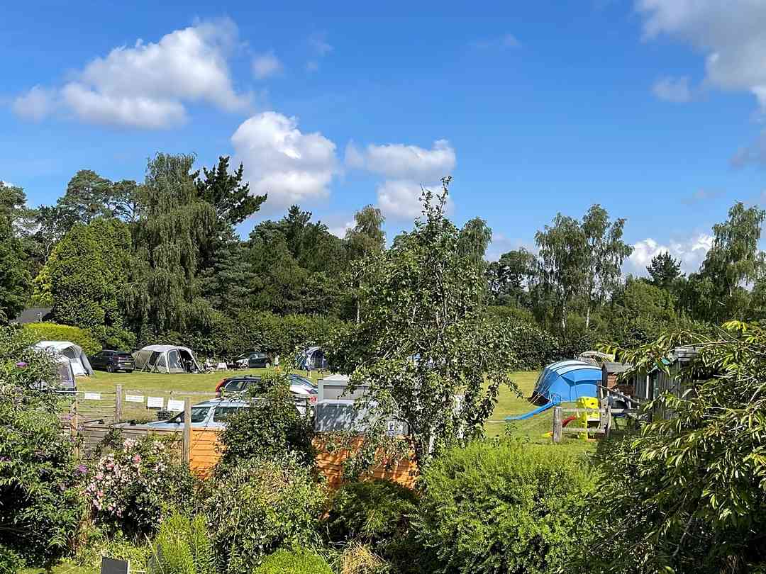 Overview of the leafy site (photo added by manager on 10/03/2025) Croft Cottage Camping: Overview of the leafy site (photo added by manager on 10/03/2025)