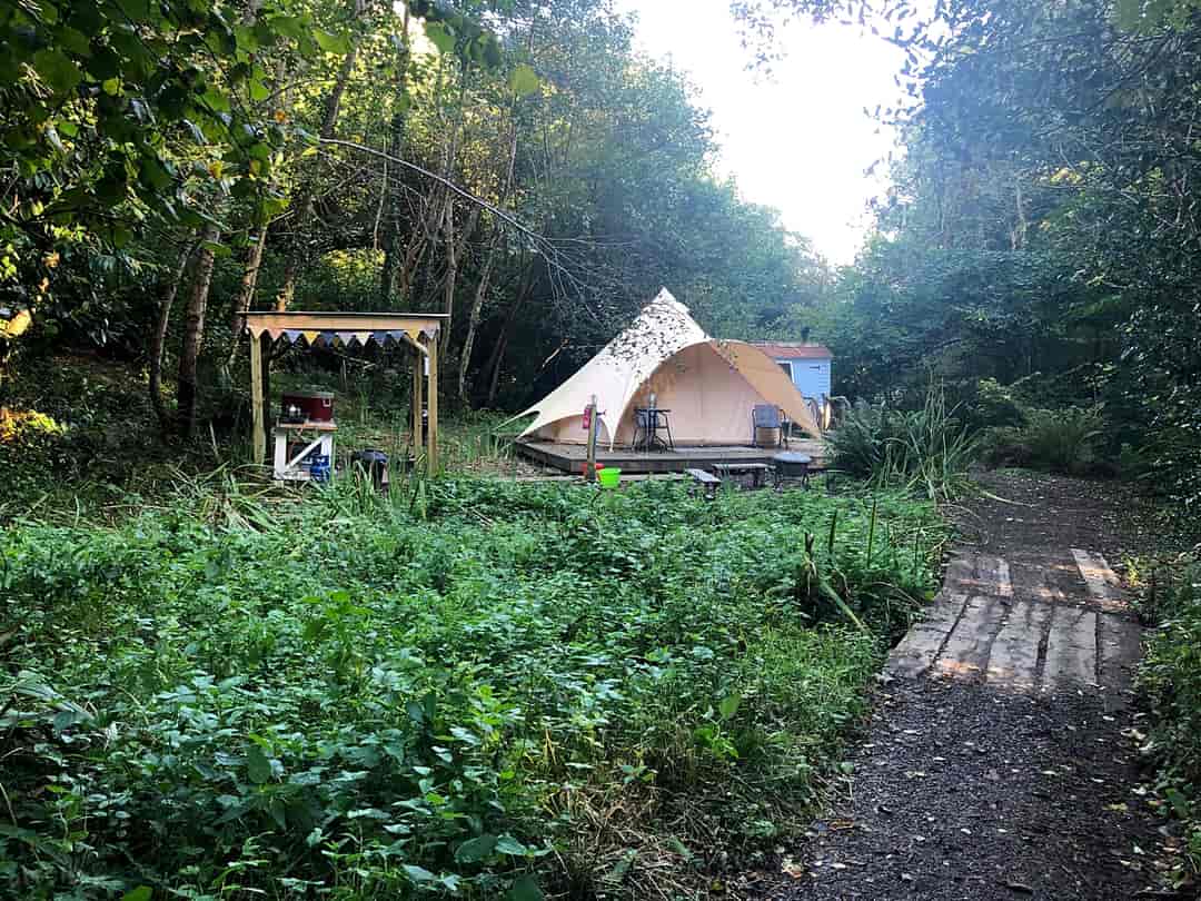 Owl Valley Glamping: View of the bell tent