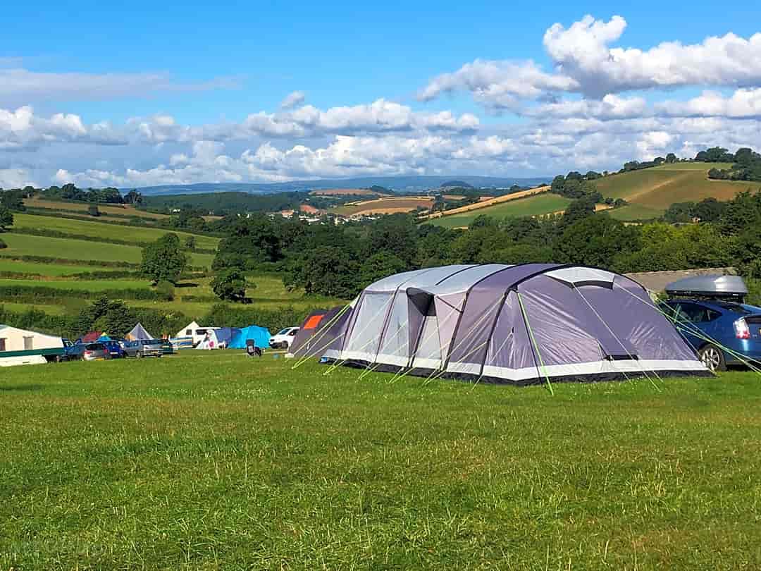 Treacle Valley Campsite: Large tent pitches
