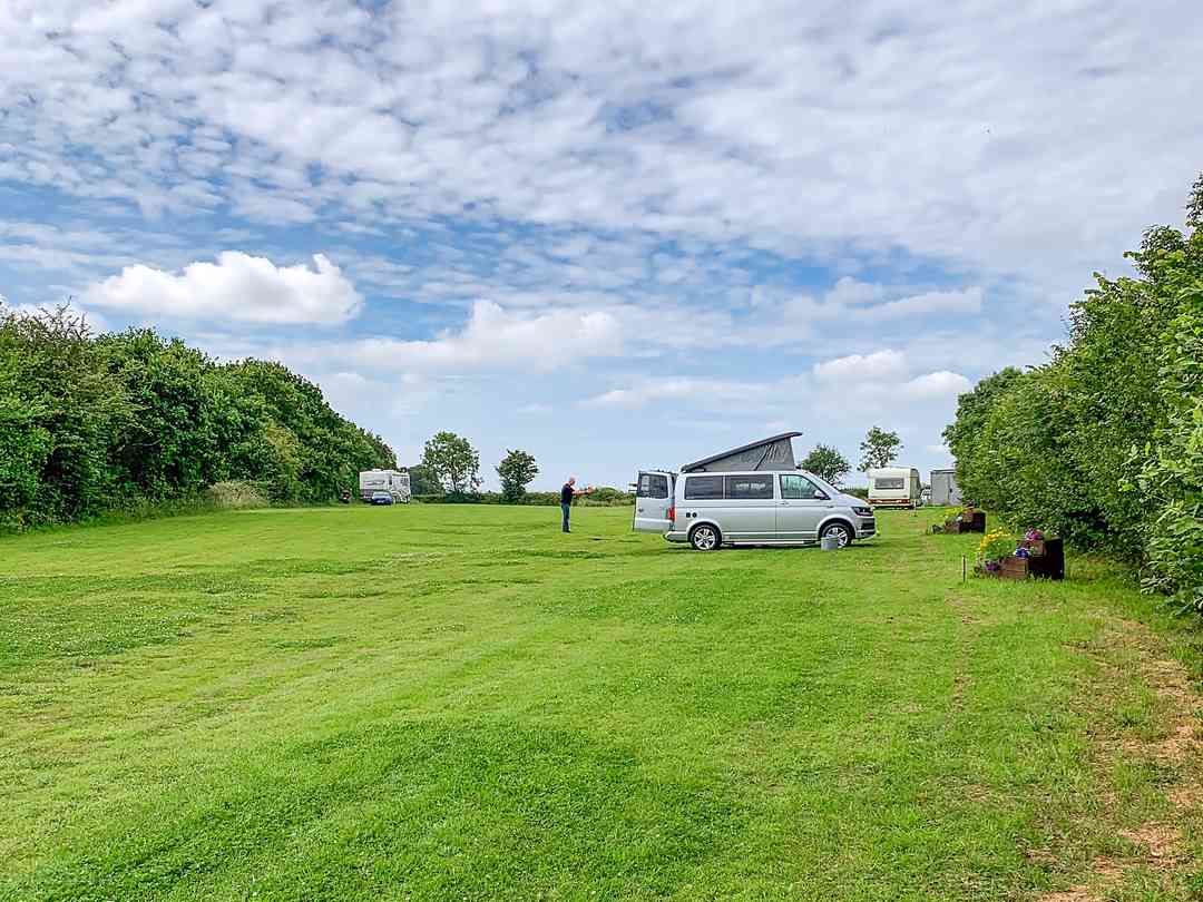 The Daisy Paddock: Visitor image of pitches