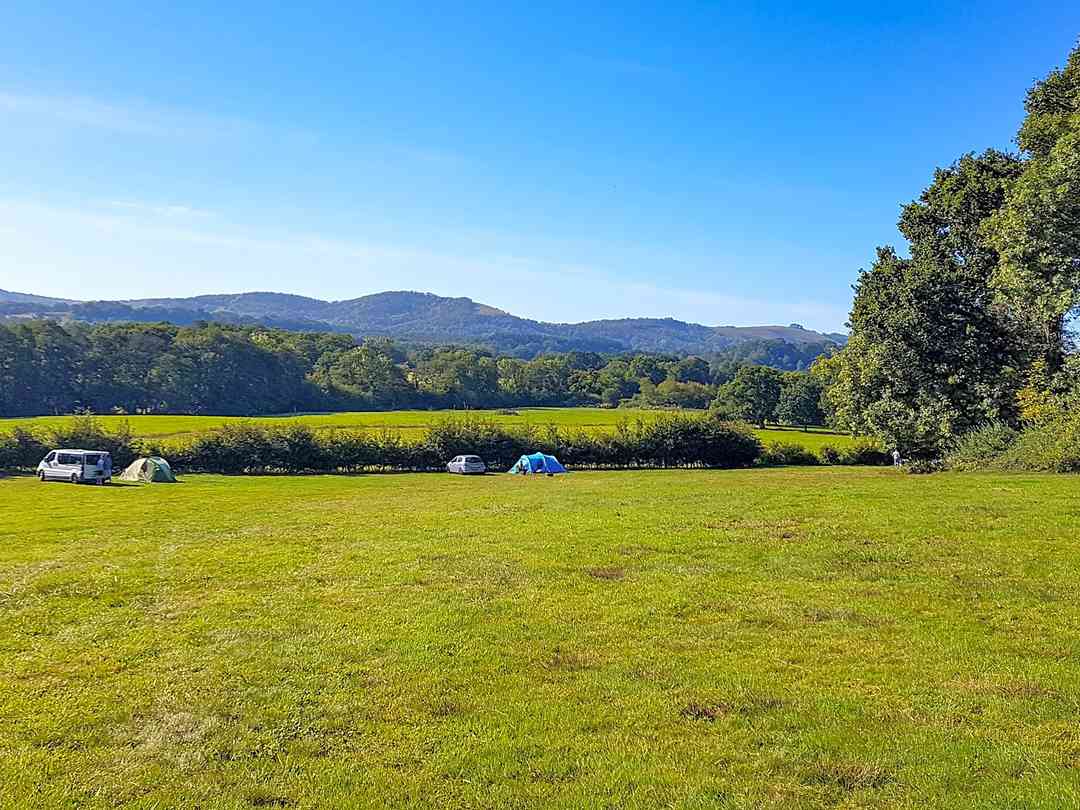 Clarefield Copse Wild Camping: Visitor image of the view from the entrance (photo added by manager on 08/09/2022)