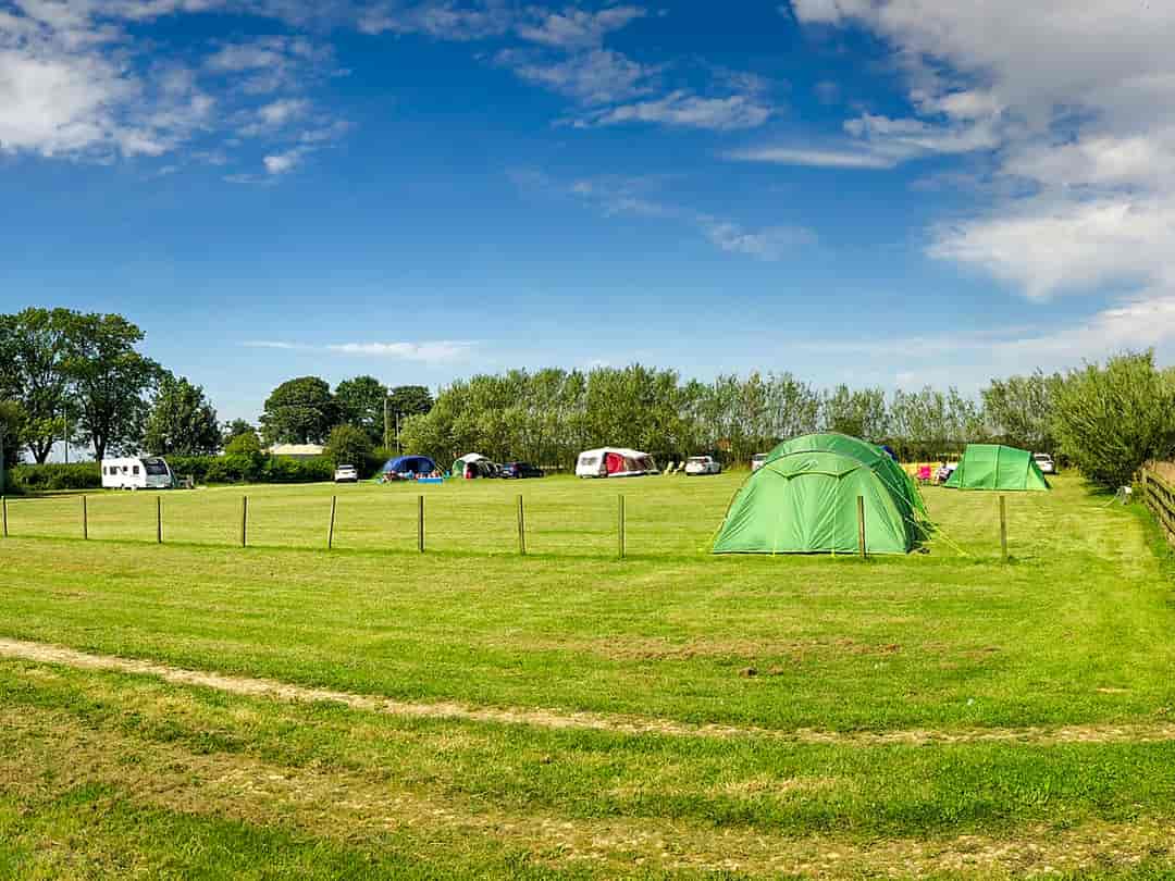 Larkrise Holiday Site: Visitor image of grass pitch