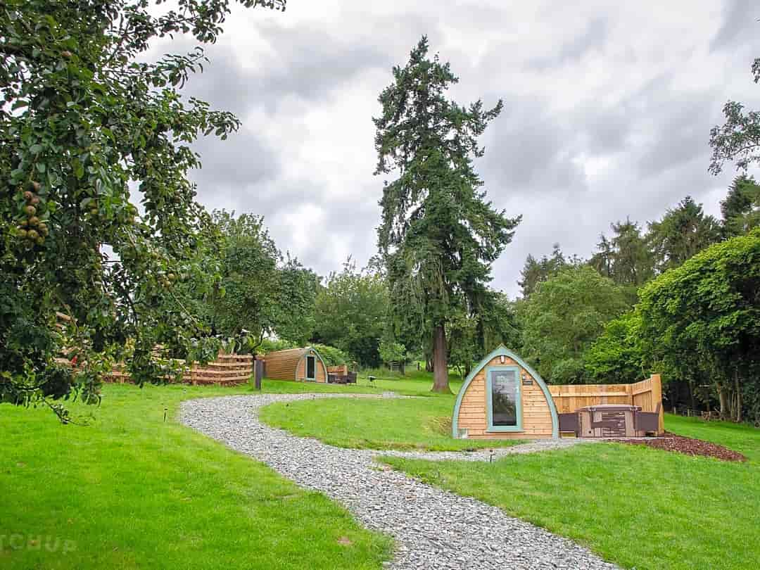 Welsh Border Glamping: Site view