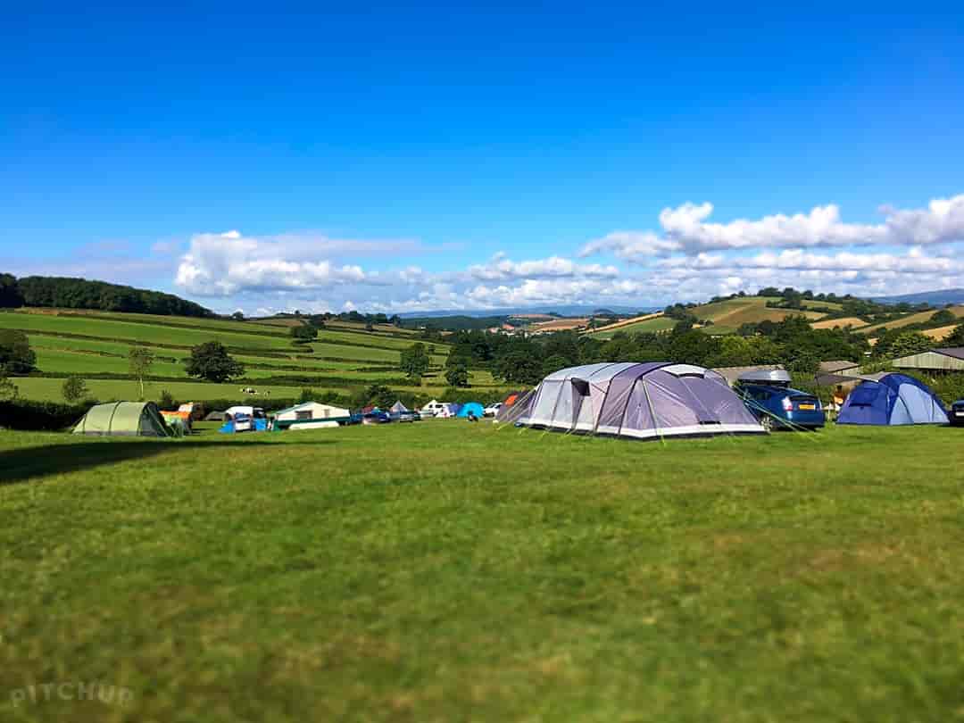 Treacle Valley Campsite: View down the valley towards Dartmoor (photo added by manager on 17/03/2017)