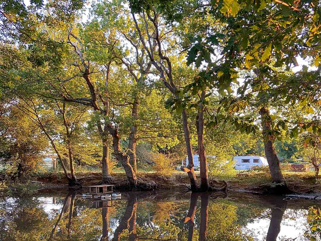 Woodlands Country Park, Biddenden Updated 2024 prices