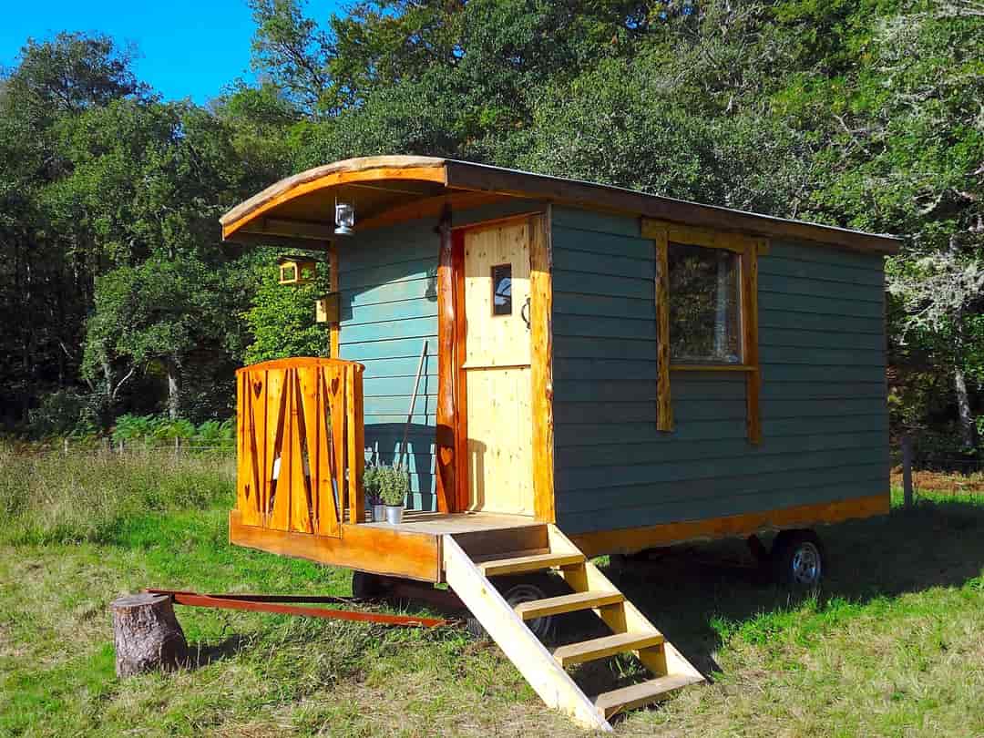 Great Glen Yurts: Shepherd's hut exterior