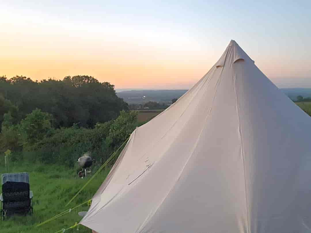 Flittermouse Copse Camping: Five-metre bell tent