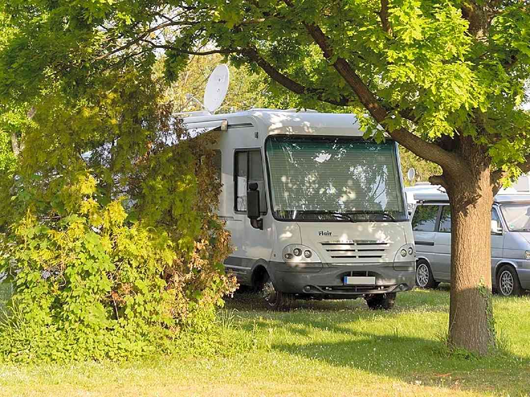 Camping Neue Donau Vienna Pitchup
