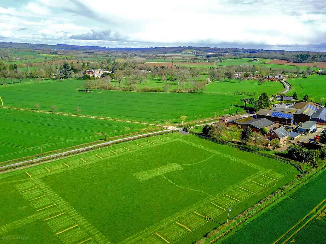 Lower House Farm: Camp amongst the beautiful Herefordshire scenery, and be surrounded by sunflowers and wildflowers