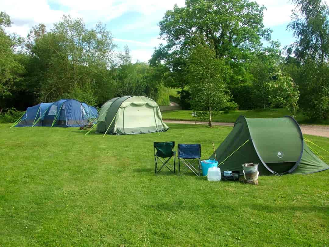 Haywood Farm Caravan and Camping Park: Spacious tent pitches