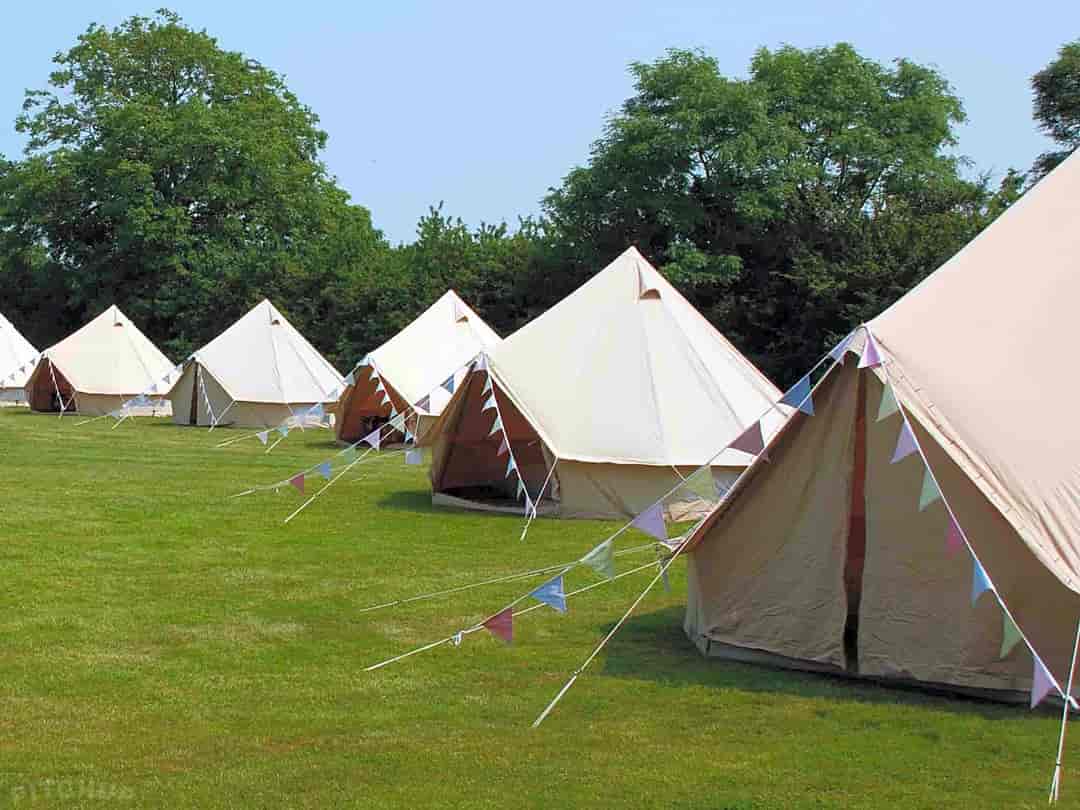 Purbeck Glamping: Five-metre bell tents