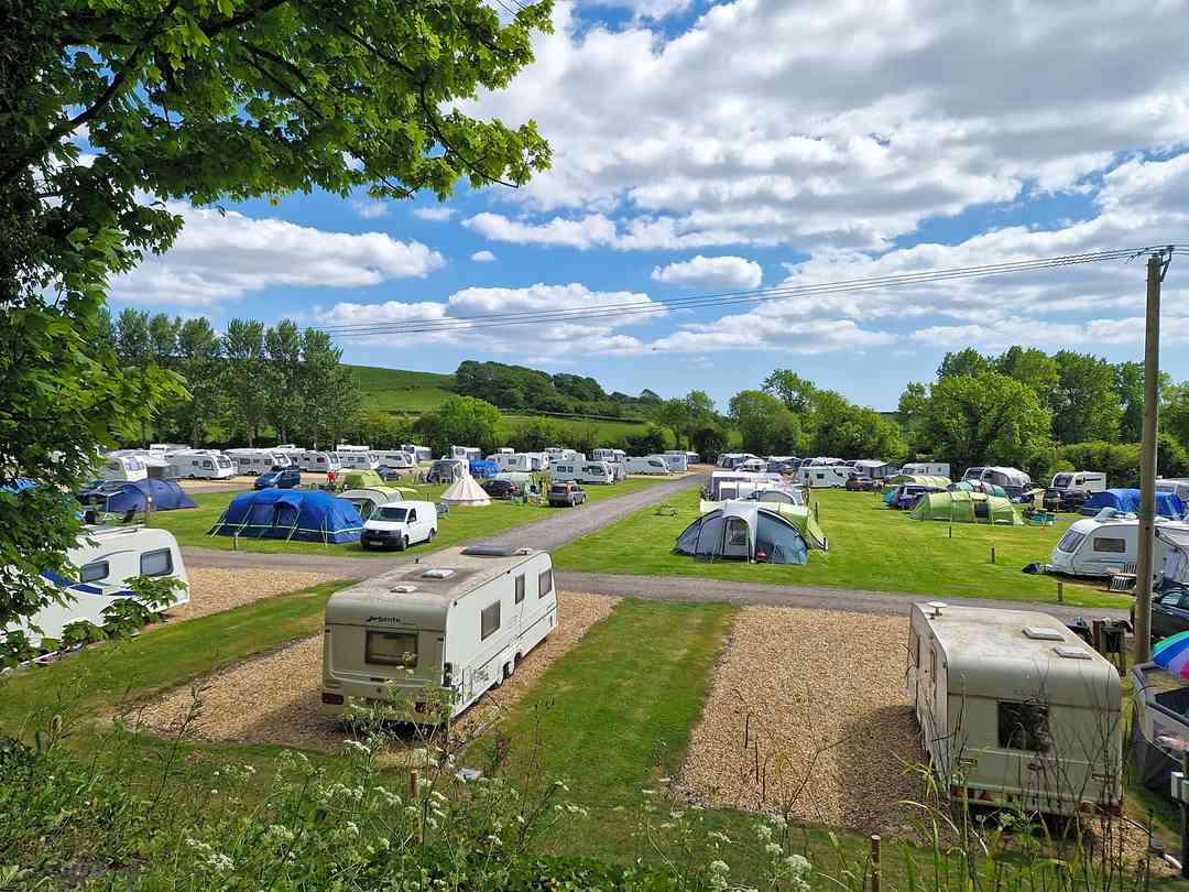 Portesham Dairy Farm Campsite: Camp site