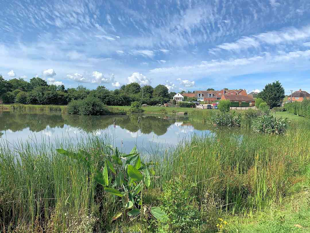 The Halfway Caravan and Camping Park: View of the on site pub from the lake
