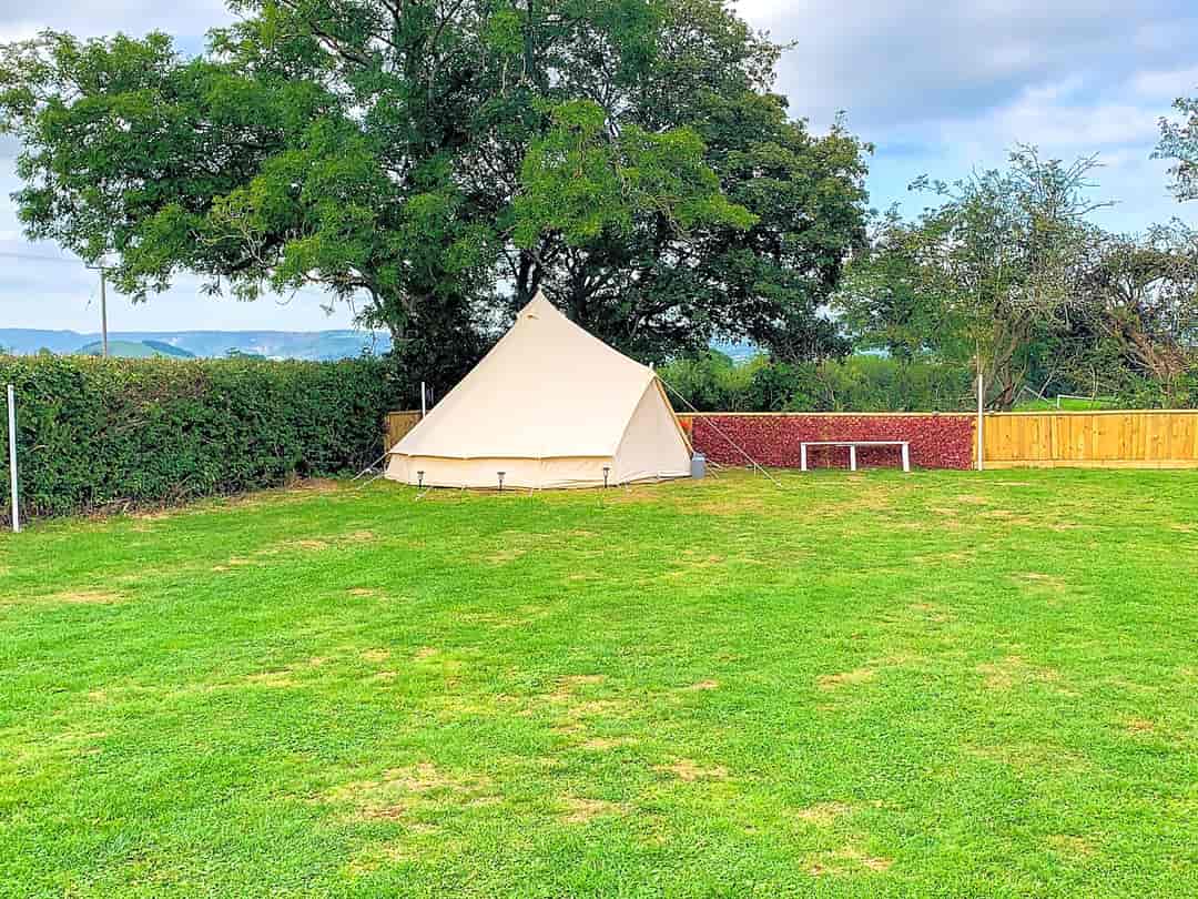 Orchard View: Bell tent