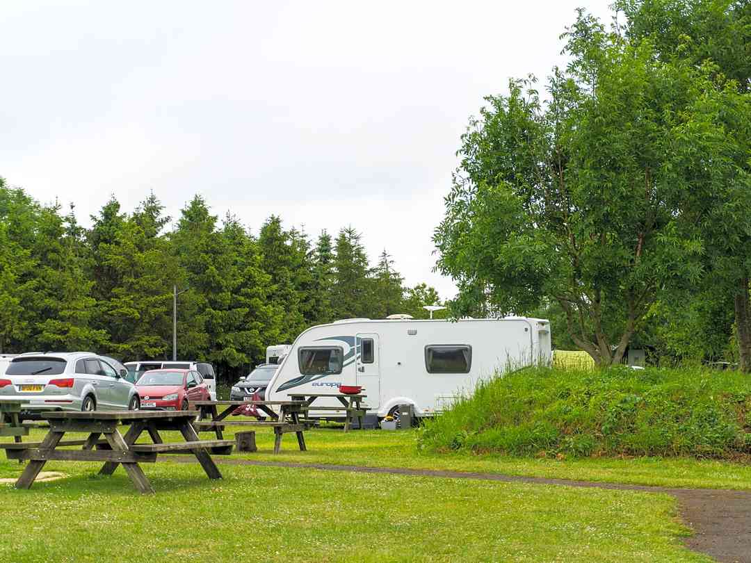 Glebe Leisure: The site