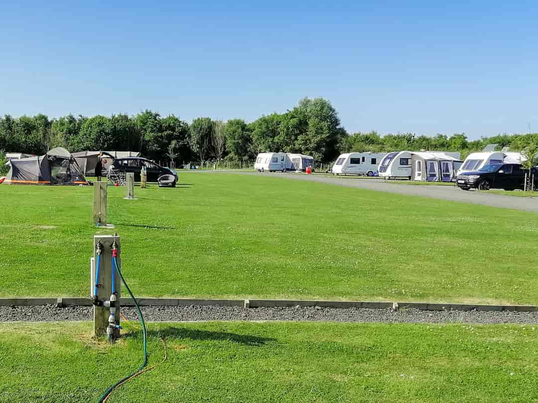 Bryn Goleu Caravan and Camping Site: Hardstanding and grass pitches