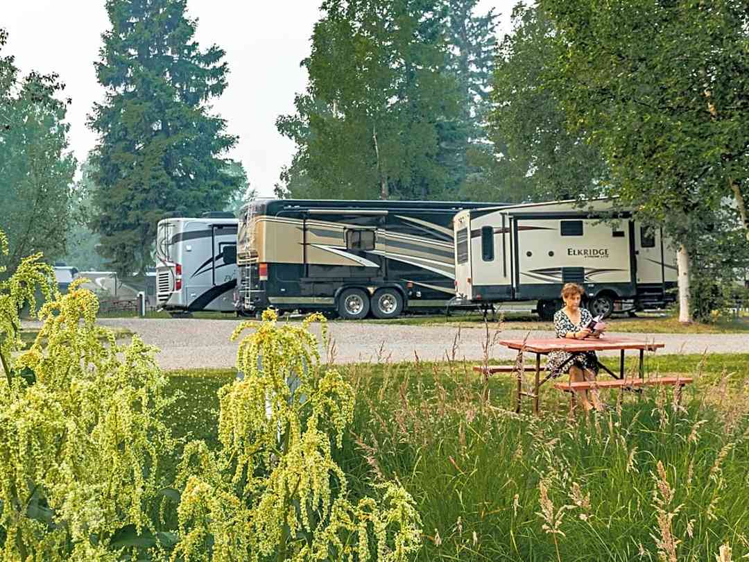 Camper Sites And Parks Pitchup