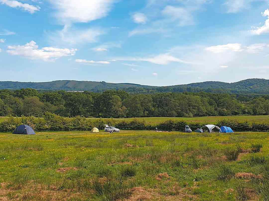 Clarefield Copse Wild Camping: Visitor image of the view of the site (photo added by manager on 08/09/2022)