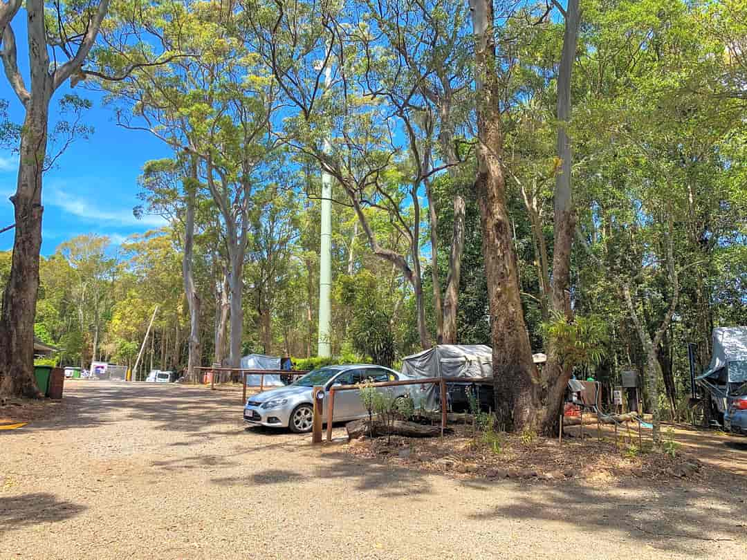 Binna Burra Campground: Pitches between the trees
