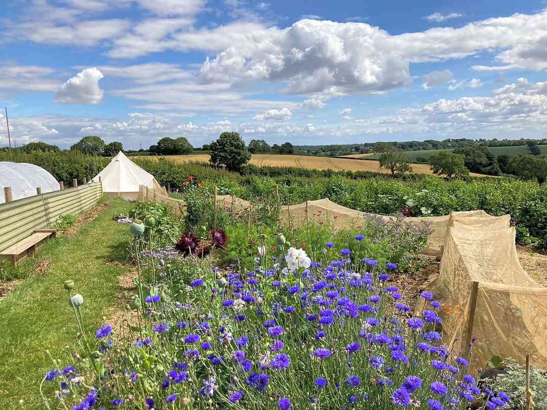 Kiddal Quarry Farm