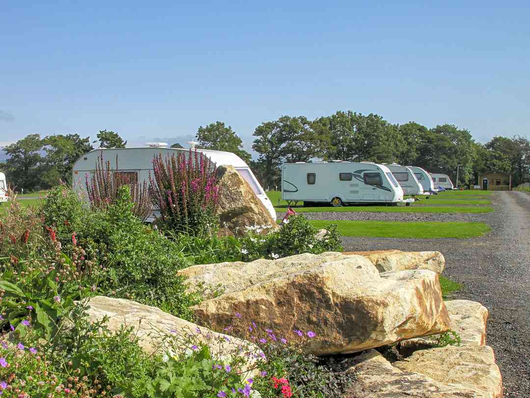 Poplar Grove Farm Caravan Park