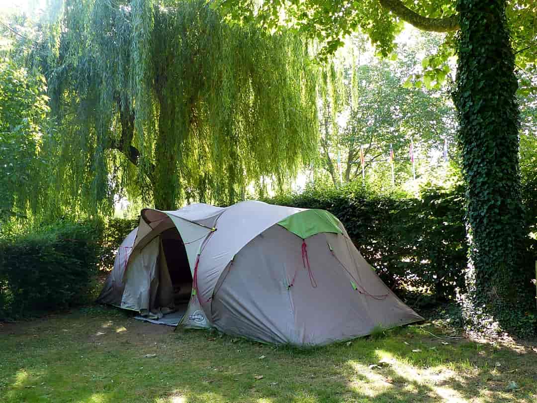 Camping La Roche: Pitch