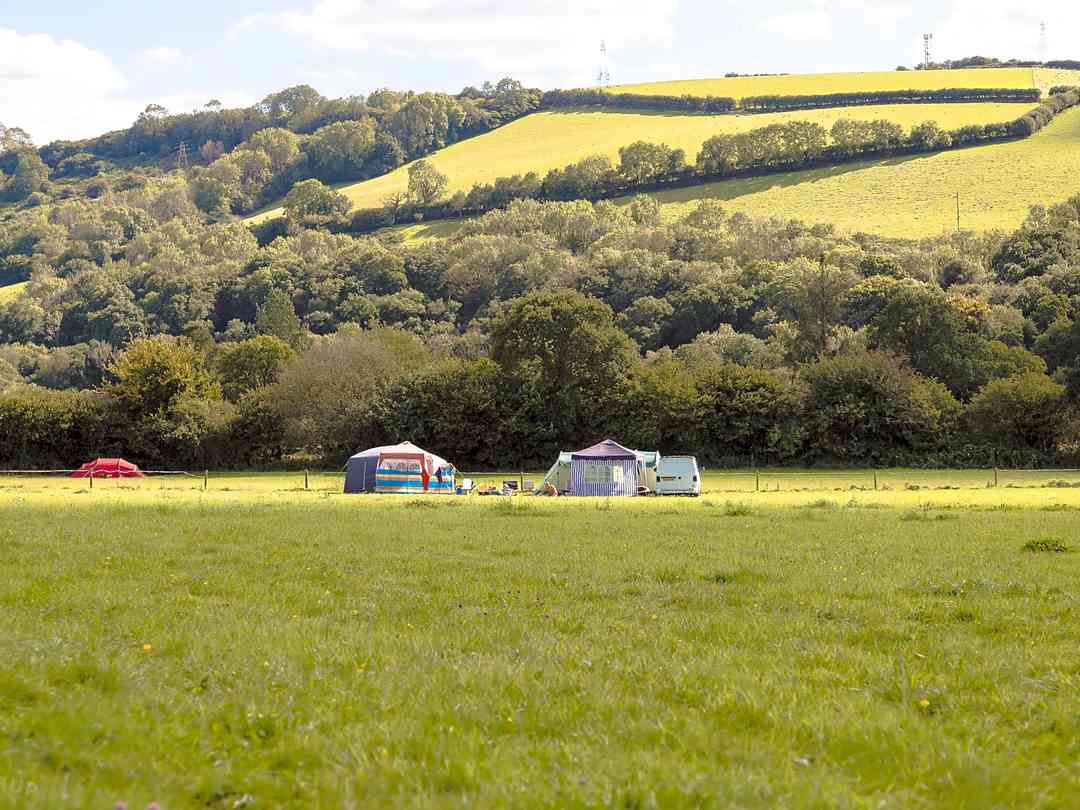Bush Farm Wild Camping
