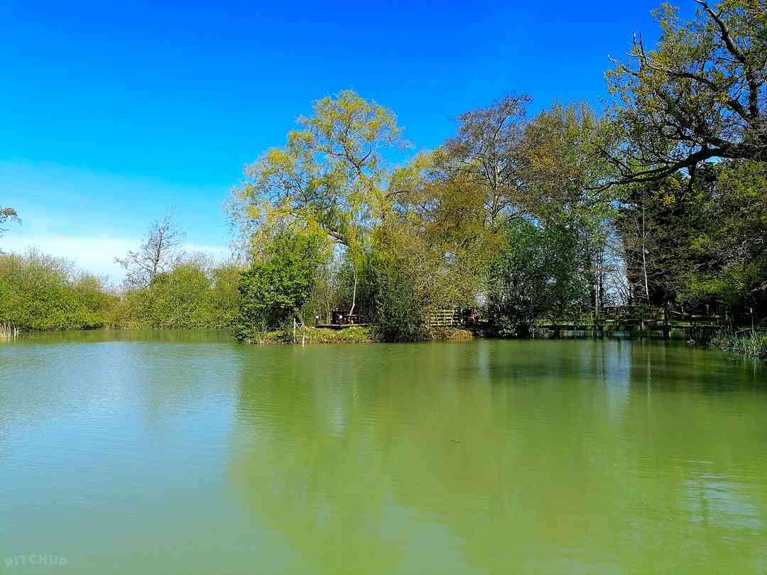 Rookery Meadow: The lake and private island are all yours