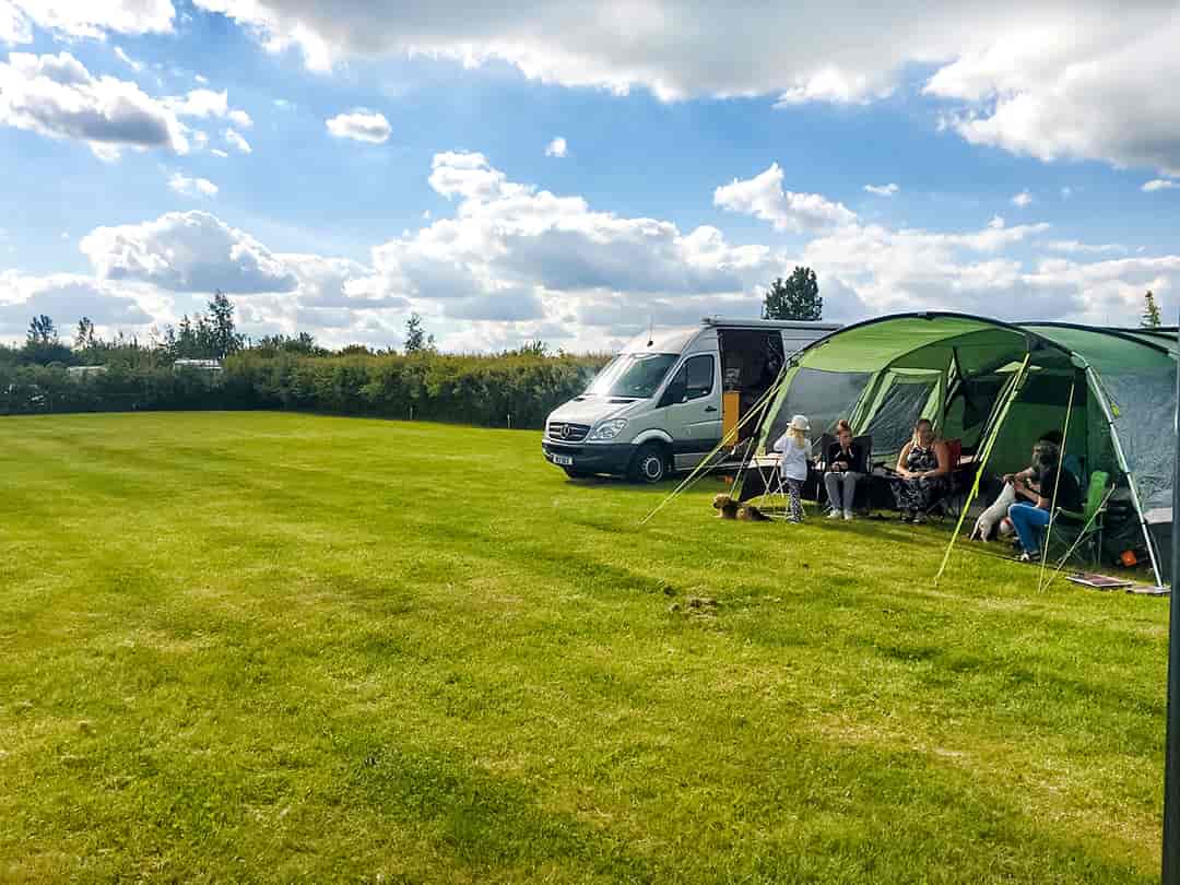 Oxford Oak Camping: Grass pitches