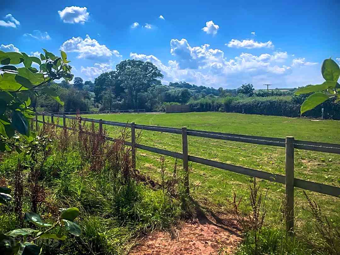 Orchard View: A view over the site (photo added by manager on 13/08/2021)