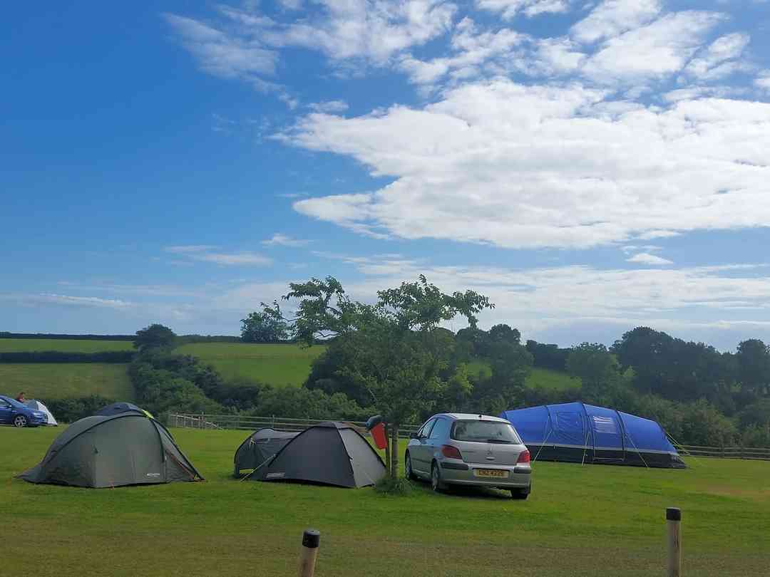 Find Cheap Tent Camping Sites In Seaton Devon Pitchup