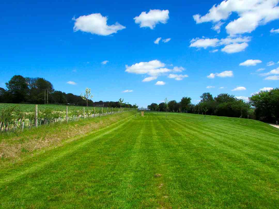 Watercress Lodges Campsite: Lovely place to stay at