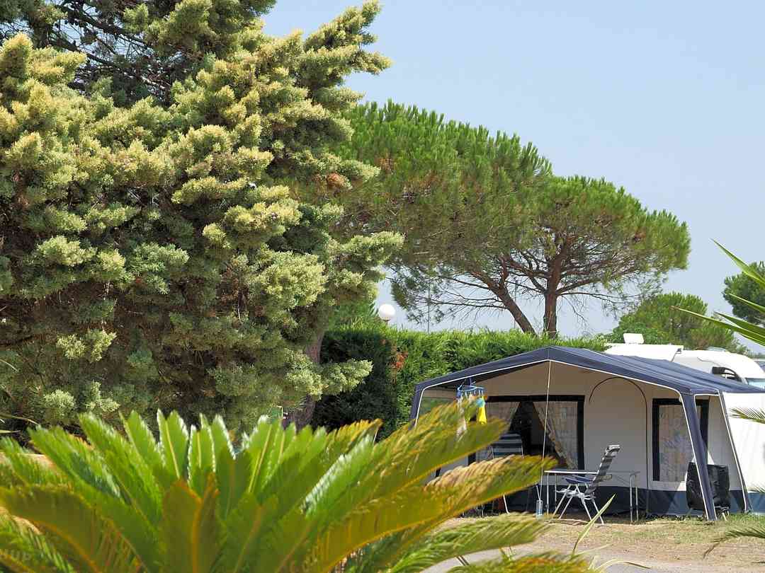 Find Cheap Tent Camping Sites In Languedoc Roussillon France Pitchup