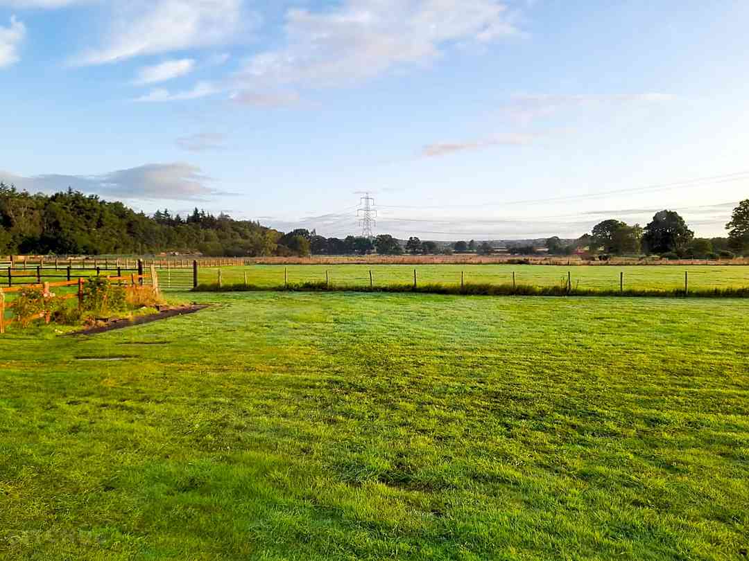 Fox Covert (zdjęcie dodane przez administratora w dniu 03-07-2024)