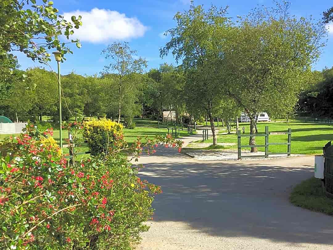 Hedley Wood Caravan and Camping Park: Brier Meadow pitches