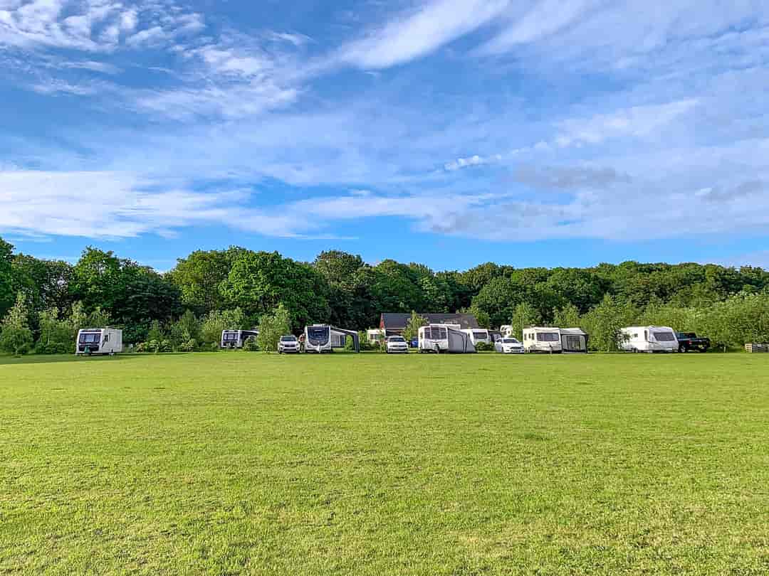 Bylaugh Country Park: Pitches on site
