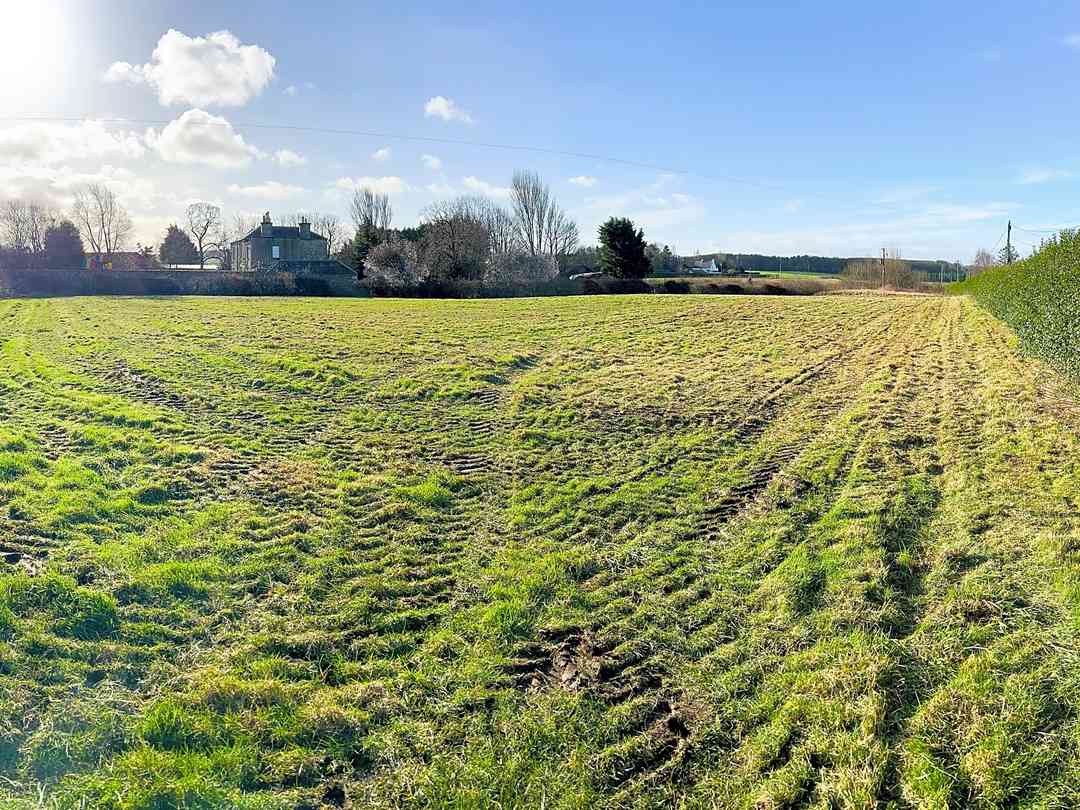 Ballencrieff Farm Campsite (photo ajoutée par le gestionnaire le 11 juil. 2024) Ballencrieff Farm Campsite (photo ajoutée par le gestionnaire le 11 juil. 2024)